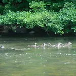 Vakantieverblijf Nature *