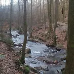 Vakantieverblijf Nature