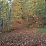 Vakantieverblijf Nature Holiday park *