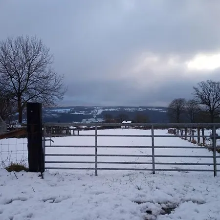 Vakantieverblijf Nature 假日公园