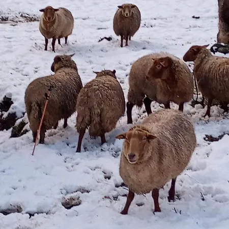 假日公园 Vakantieverblijf Nature *