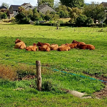 홀리데이파크 Vakantieverblijf Nature *