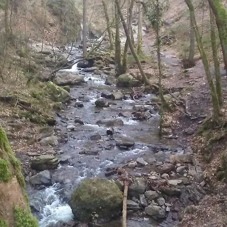 Vakantieverblijf Nature