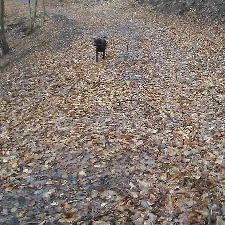 Vakantieverblijf Nature * 斯塔沃洛