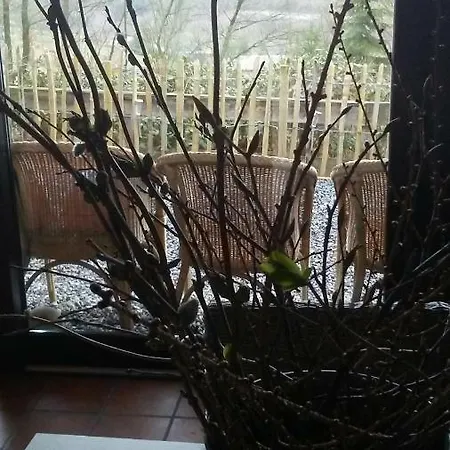 Vakantieverblijf Nature Kompleks wypoczynkowy Stavelot