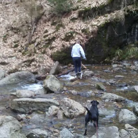 Vakantieverblijf Nature 假日公园