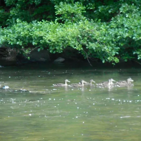 Vakantieverblijf Nature *