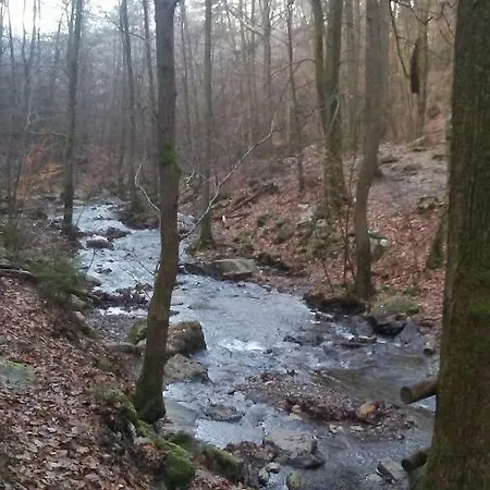 Vakantieverblijf Nature