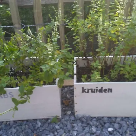 Vakantieverblijf Nature 假日公园 *