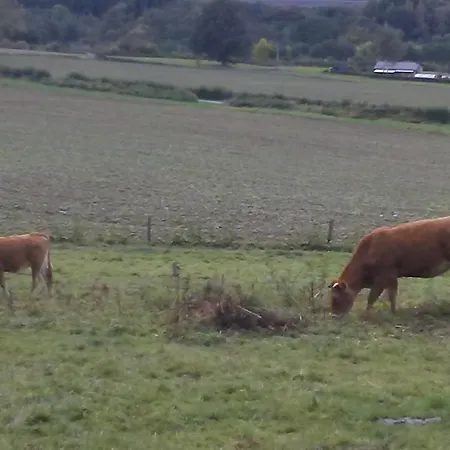 Vakantieverblijf Nature *