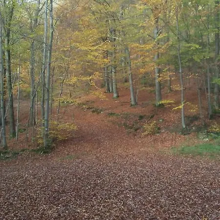 Vakantieverblijf Nature Holiday park *